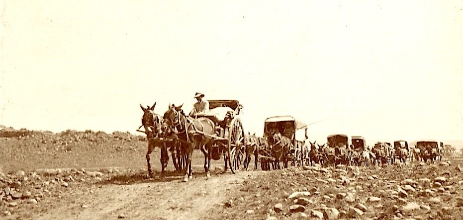 Horses pulling a cart on a dirt road, surrounded by a rural landscape.