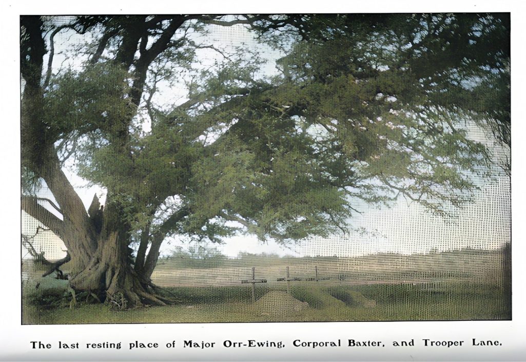 A scenic view featuring a large tree and a path in a grassy landscape. and 3 graves